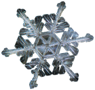 snowflake 41 lis